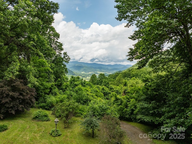 687 Willow Creek Rd, Leicester, NC 28748 - view of mountain background with a heavily wooded area