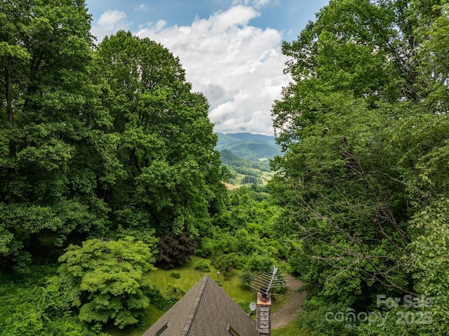 687 Willow Creek Rd, Leicester, NC 28748 - view of mountain backdrop