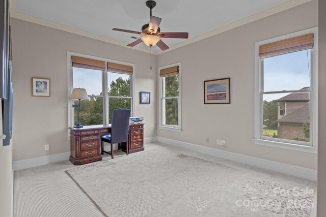 753 River Bend Dr, Granite Falls, NC 28630 - office space featuring carpet floors, ceiling fan, and ornamental molding