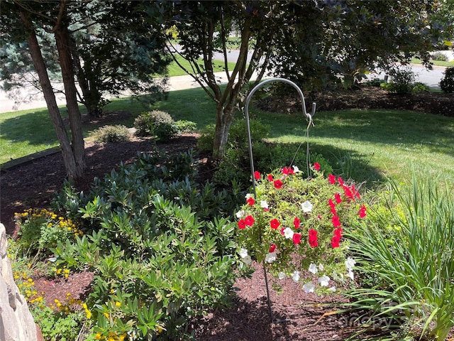 753 River Bend Dr, Granite Falls, NC 28630 - view of grassy yard