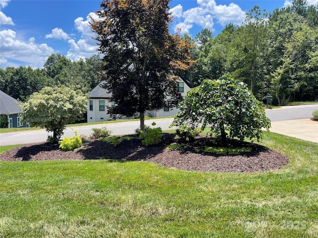 753 River Bend Dr, Granite Falls, NC 28630 - view of green lawn