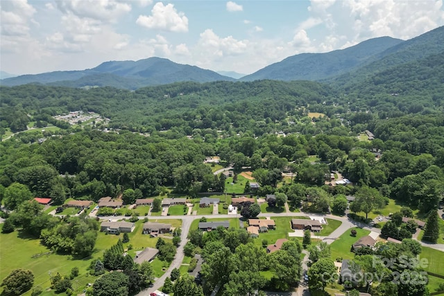 684 Woodfield Dr, Waynesville, NC 28786 - photo 38