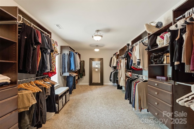 1830 Alden Oaks Ln, Charlotte, NC 28270 - walk in closet with carpet