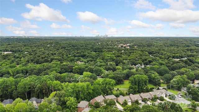 1830 Alden Oaks Ln, Charlotte, NC 28270 - aerial view of a forest