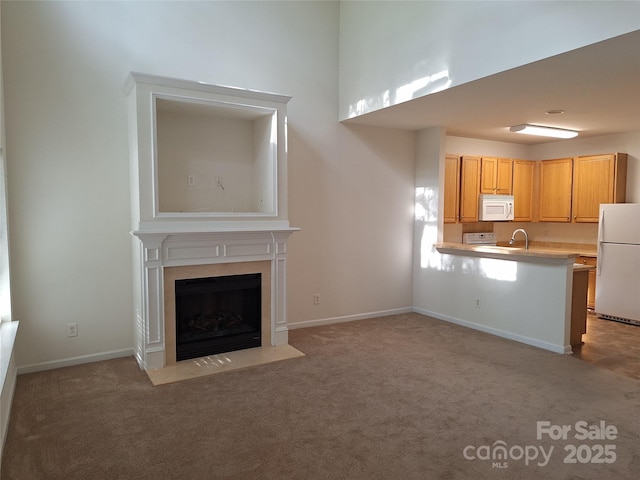8838 Wandering Creek Way, Charlotte, NC 28227 - unfurnished living room with light carpet and a high end fireplace