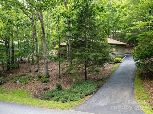 1005 Middle Connestee Trl, Brevard, NC 28712 - photo 3