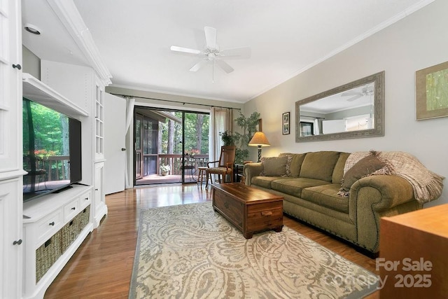 1005 Middle Connestee Trl, Brevard, NC 28712 - photo 31