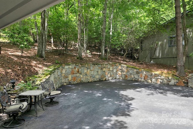 1005 Middle Connestee Trl, Brevard, NC 28712 - photo 41