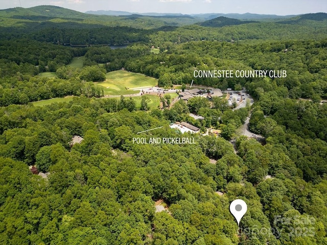 1005 Middle Connestee Trl, Brevard, NC 28712 - photo 43