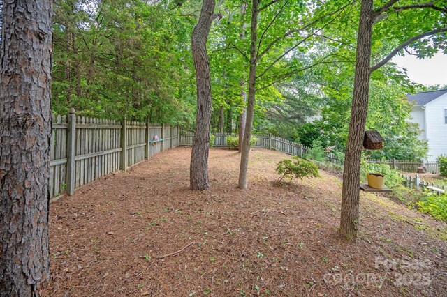 3510 Cole Mill Rd, Charlotte, NC 28270 - photo 36