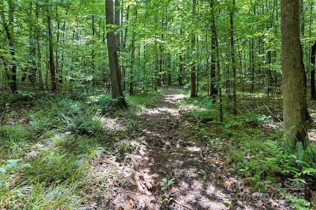 6 Hager Mountain Ln, Iron Station, NC 28080