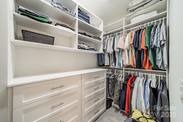 2004 Viscount Dr, Matthews, NC 28104 - walk in closet featuring light colored carpet