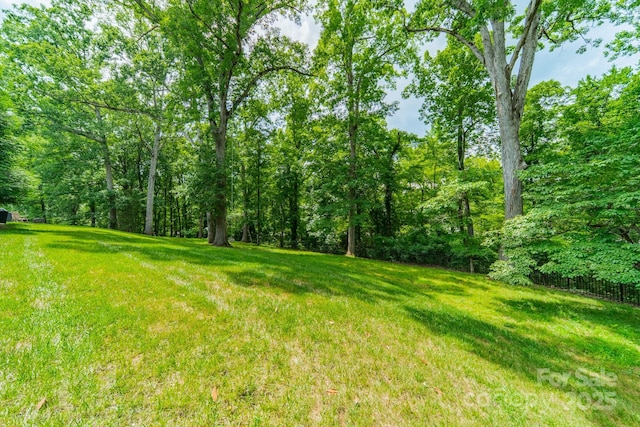 2004 Viscount Dr, Matthews, NC 28104 - view of yard
