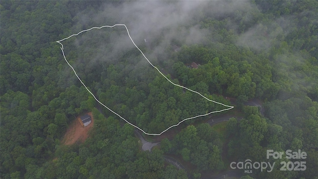 46 Hemlock Trl, Columbus, NC 28722