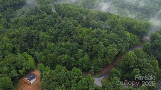 46 Hemlock Trl, Columbus, NC 28722