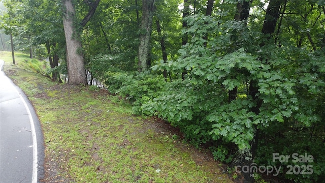 46 Hemlock Trl, Columbus, NC 28722