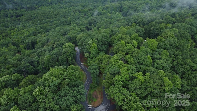 46 Hemlock Trl, Columbus, NC 28722