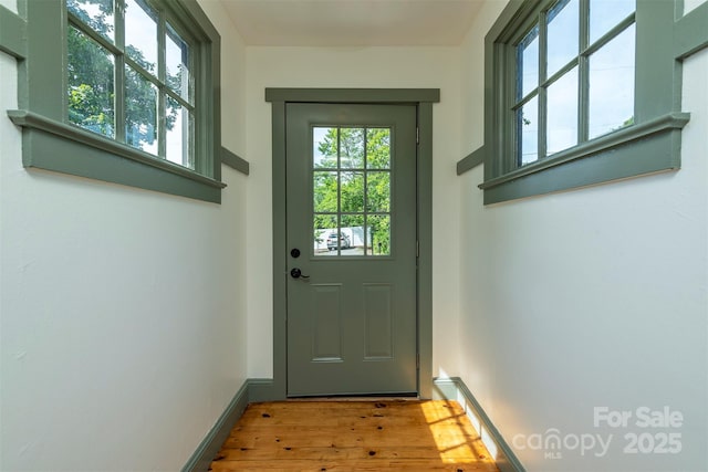 12 Mountain View Ave, Black Mountain, NC 28711 - doorway featuring wood finished floors and plenty of natural light