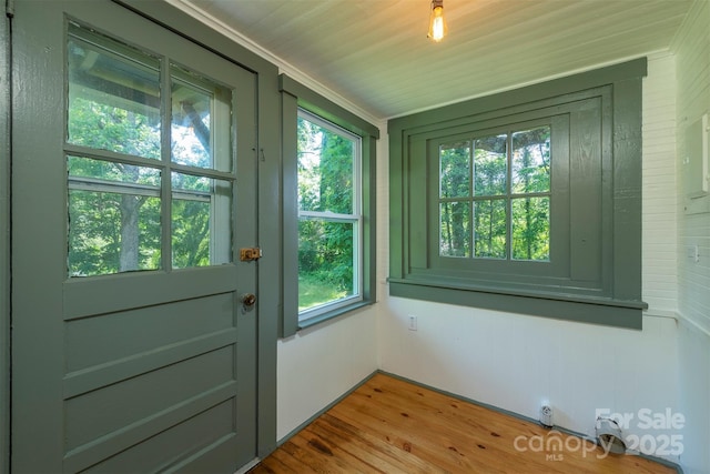 12 Mountain View Ave, Black Mountain, NC 28711 - doorway to outside featuring light wood-style floors