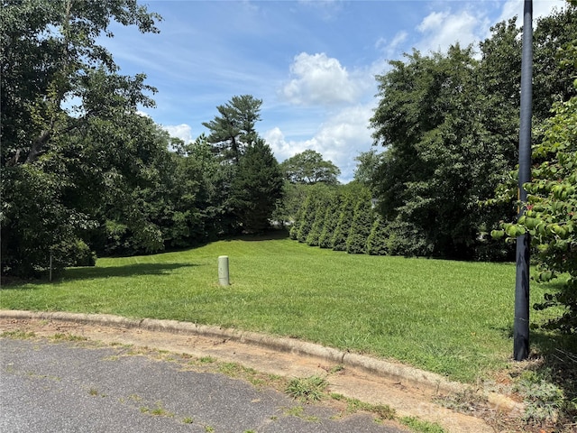 1147 10th Street Ln NW, Hickory, NC 28601 - photo 2