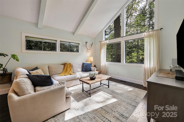 19 Poplar Ct, Hendersonville, NC 28792 - living area with beam ceiling, wood finished floors, and high vaulted ceiling