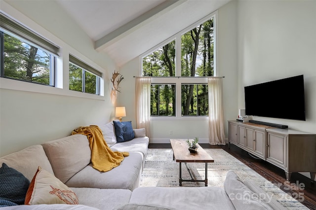 19 Poplar Ct, Hendersonville, NC 28792 - living room featuring beam ceiling, dark wood-type flooring, and high vaulted ceiling