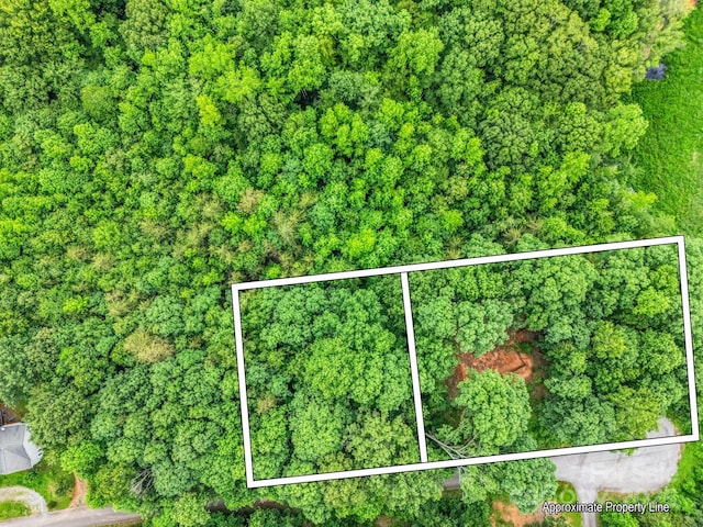 0 Hutchins Dr Unit 14, 15, Rutherfordton, NC 28657 - photo 1