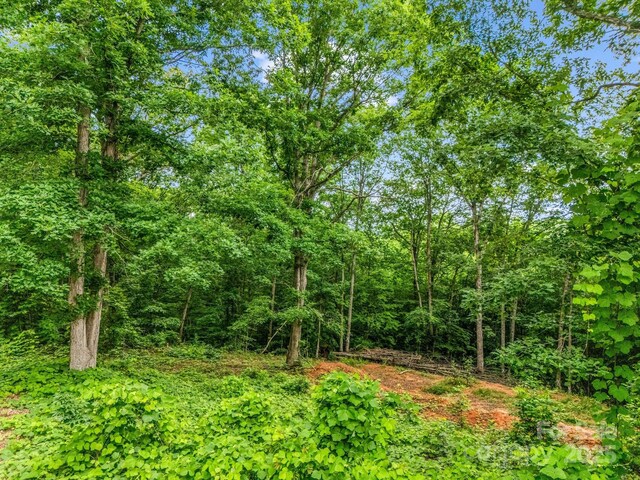 0 Hutchins Dr Unit 14, 15, Rutherfordton, NC 28657 - photo 20