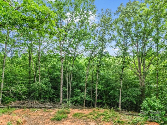 0 Hutchins Dr Unit 14, 15, Rutherfordton, NC 28657 - photo 21