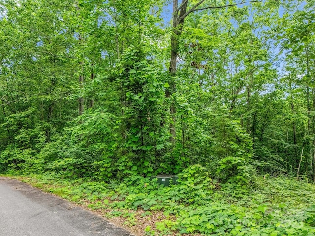 0 Hutchins Dr Unit 14, 15, Rutherfordton, NC 28657 - photo 24