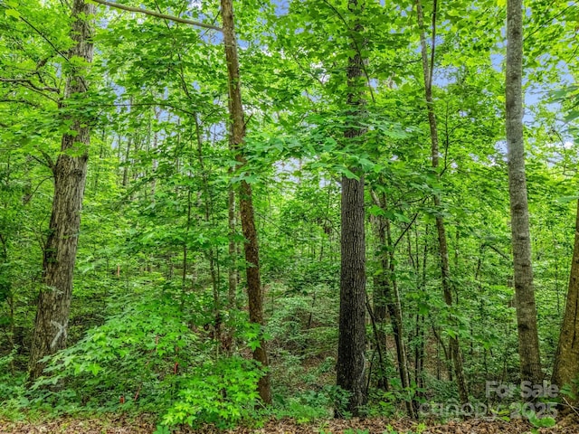 0 Hutchins Dr Unit 14, 15, Rutherfordton, NC 28657 - photo 25