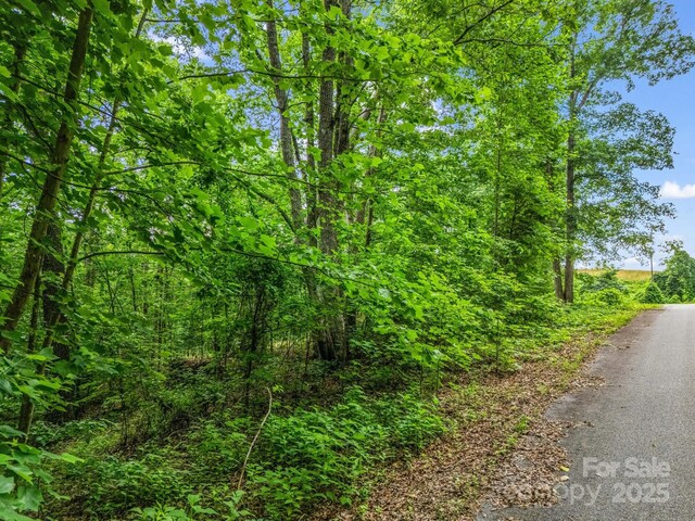 0 Hutchins Dr Unit 14, 15, Rutherfordton, NC 28657 - photo 26