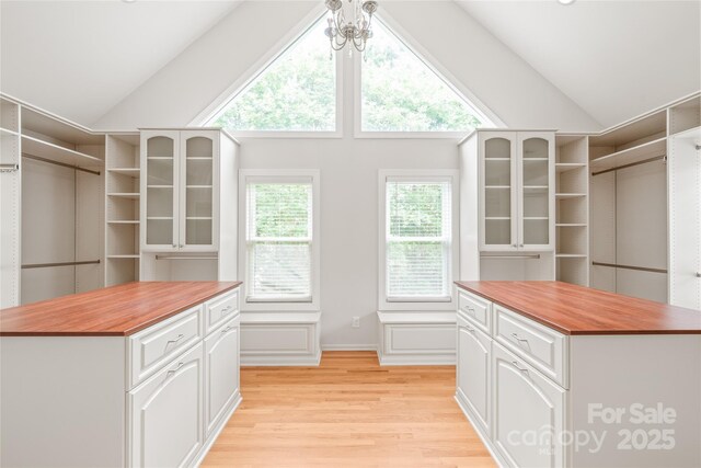 7301 Leharne Dr, Charlotte, NC 28270 - walk in closet with vaulted ceiling and light wood-type flooring