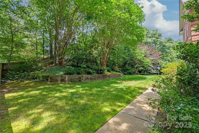7301 Leharne Dr, Charlotte, NC 28270 - view of yard