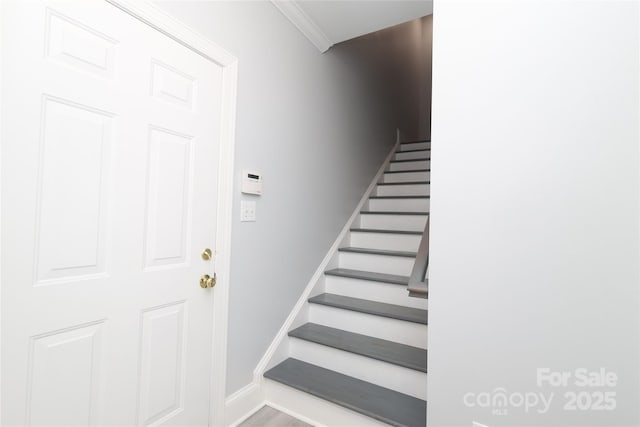 12321 Aquitaine St, Charlotte, NC 28277 - stairs with ornamental molding and baseboards