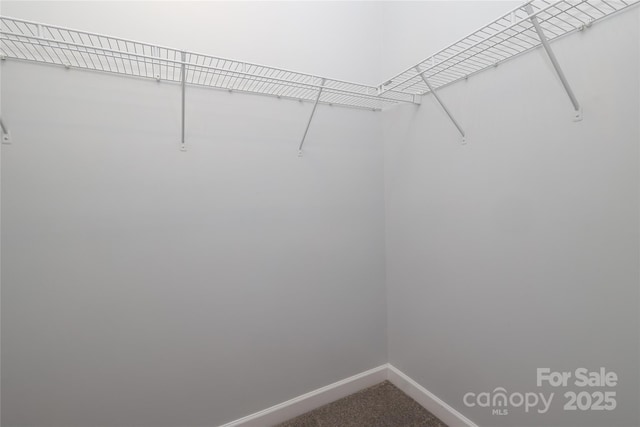 12321 Aquitaine St, Charlotte, NC 28277 - walk in closet featuring dark carpet