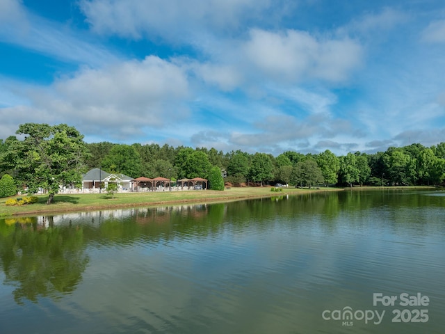 703 Bradberry Ln, Indian Trail, NC 28079 - water view featuring a heavily wooded area