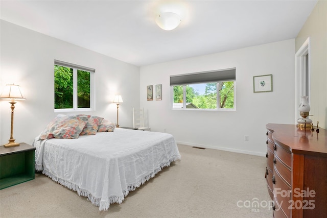 155 Old Starnes Cove Rd, Asheville, NC 28806 - bedroom featuring light colored carpet and baseboards