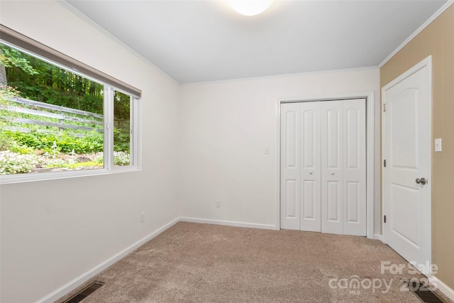 155 Old Starnes Cove Rd, Asheville, NC 28806 - unfurnished bedroom featuring ornamental molding, carpet, and a closet