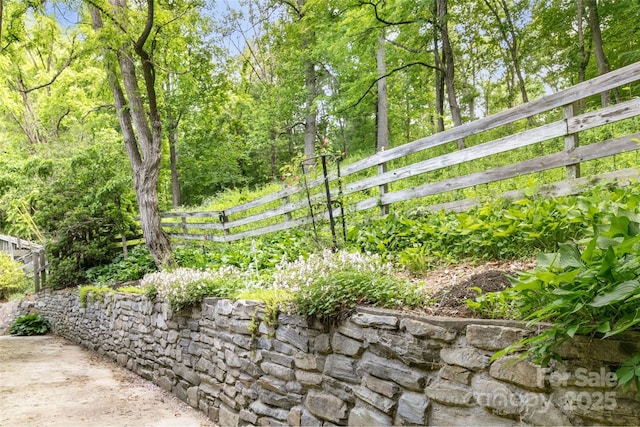 155 Old Starnes Cove Rd, Asheville, NC 28806 - view of yard