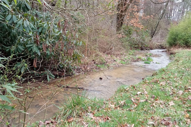 155 Old Starnes Cove Rd, Asheville, NC 28806 - view of yard