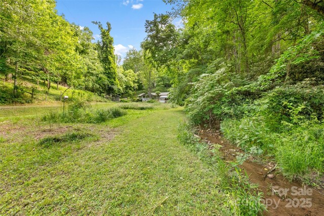 155 Old Starnes Cove Rd, Asheville, NC 28806 - view of yard featuring a wooded view
