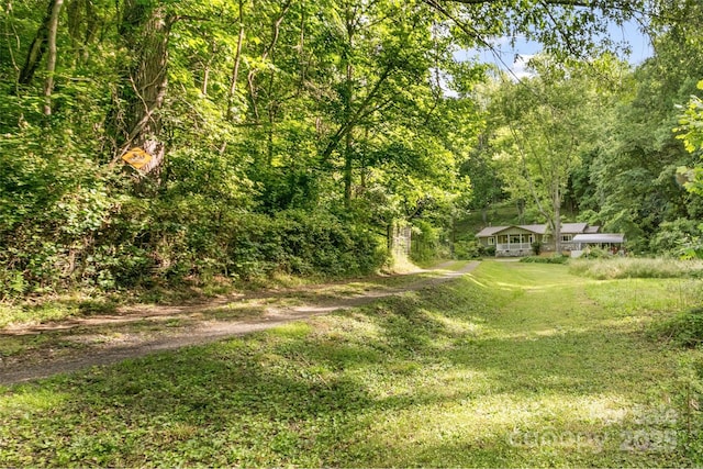 155 Old Starnes Cove Rd, Asheville, NC 28806 - view of green lawn featuring a view of trees