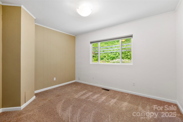 155 Old Starnes Cove Rd, Asheville, NC 28806 - empty room with carpet floors and crown molding