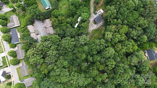 23 Maple Ave, Candler, NC 28715