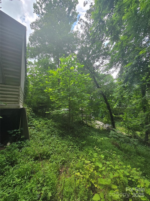 23 Maple Ave, Candler, NC 28715