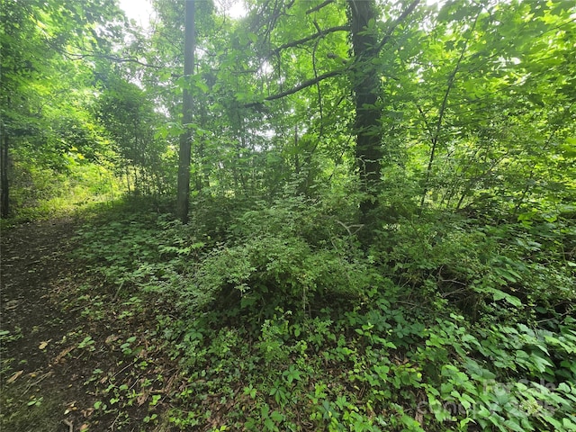 23 Maple Ave, Candler, NC 28715