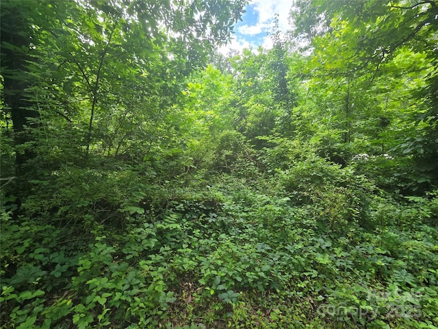23 Maple Ave, Candler, NC 28715