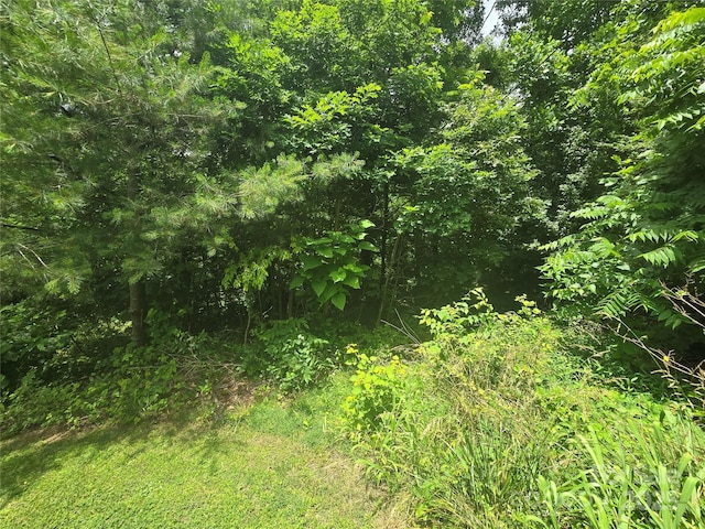 23 Maple Ave, Candler, NC 28715