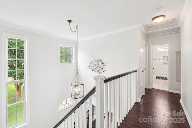 8618 Sam Dee Rd, Charlotte, NC 28215 - hall with dark wood-style floors, crown molding, healthy amount of natural light, an upstairs landing, and a chandelier